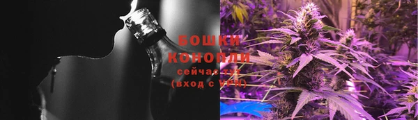индика Нефтекумск
