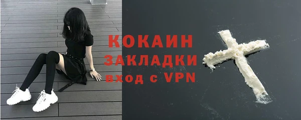 PSILOCYBIN Армянск