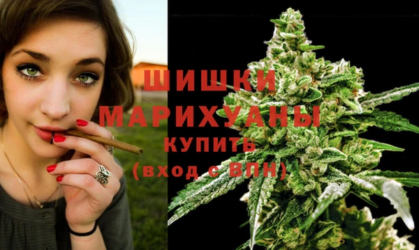 PSILOCYBIN Армянск